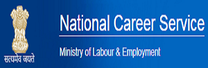 National Career Service