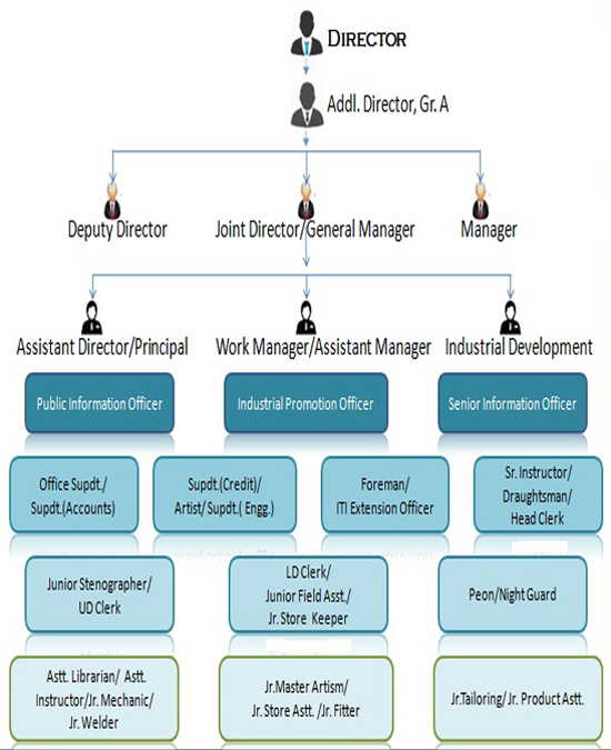 WITI Organizational Structure